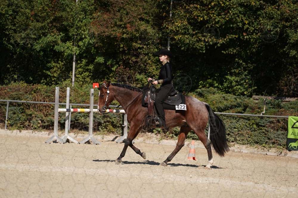 s_A_908145.JPG